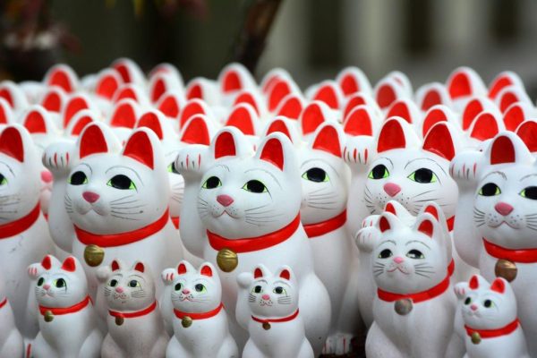 Maneki Neko, Le chat porte-bonheur chinois à vendre | charme et amulette