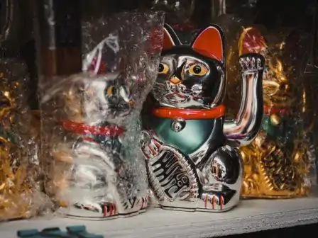 Maneki Neko, The Chinese lucky cat in the shop | charm and amulet