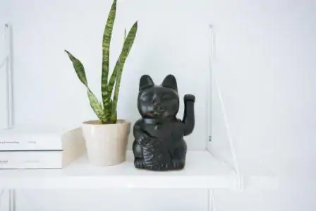 Maneki Neko, The Chinese lucky cat on the table | charm and amulet