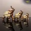 14 200004870 5 361385 wpp1645597898965 8 | Charm and Amulet™