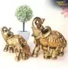 14 200006156 5 361385 wpp1645597915355 6 | Charm and Amulet™