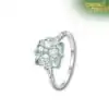 Talisman Ring <br> Silver Ring Four Leaf Clover 16 Silver-Ring-Four-Leaf-Clover-Square-white-background-Charm-and-Amulet